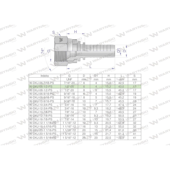 Zakucie hydrauliczne DKJ DN06 1/2