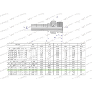 Zakucie hydrauliczne ORFSAD DN20 1 3/16-12 PREMIUM Waryński-107379