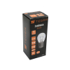 Żarówka 12V 21W BA15s TEGER,-132378