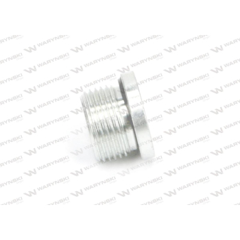 Korek hydrauliczny calowy (na imbus) 1 1/4