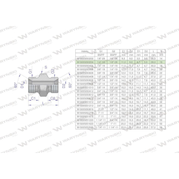 Złączka hydrauliczna redukcyjna calowa BB 1/8" x 1/4" BSP Waryński
