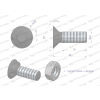 Śruba kpl. płużna dwunoskowa większy łeb M10x30 mm kl.10.9 Waryński-34993