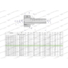 Zakucie hydrauliczne DKL DN08 12L M18x1.5 PREMIUM Waryński-38736