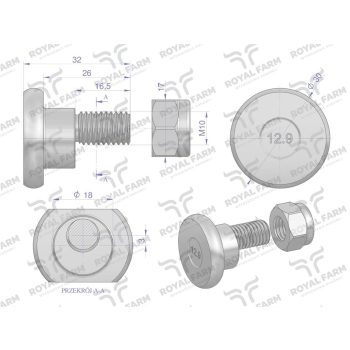 Śruba nożyka kpl. M10x32 zastosowanie Deutz Fahr. Vicon ROYAL FARM-50434
