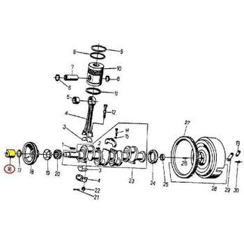 Zazębiacz wału korbowego 950322 C-360/Zetor-6254