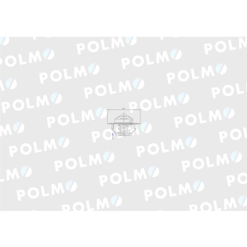 Termostat 6005012123 RENAULT POLMO-91119