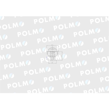 Termostat J928639 Steyr Case POLMO-91130