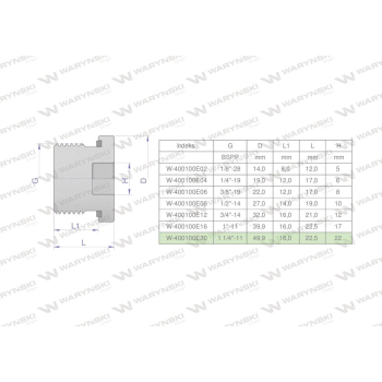 Korek hydrauliczny calowy (na imbus) 1 1/4" BSP ED Waryński